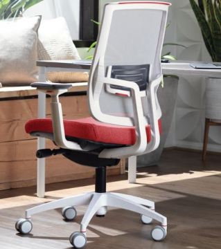 Focus 2.0 Ergonomic Chair