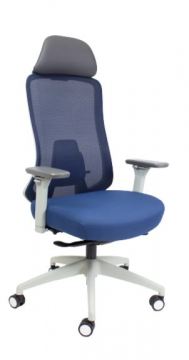 ECD Lagos Meshback Ergonomic Chair