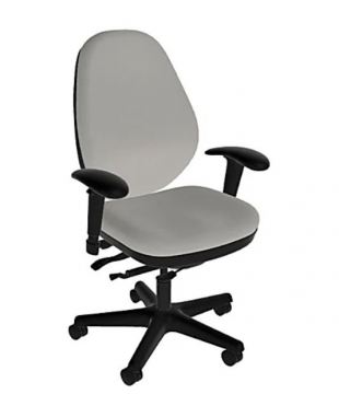 Goodfit Highback Ergonomic Chair, Supreme Comfort
