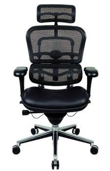 Ergohuman- With Headrest, Mesh or upholstered seat