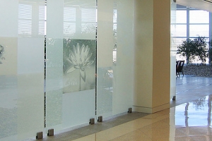 GlasPro Glass Panels