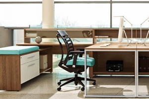 Global Total Office Princeton