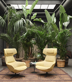 Arper Mid Century Club Chair