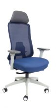 ECD-Lagos-Meshback-Ergonomic-Chair