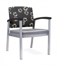 Stance Legend Metal Guest